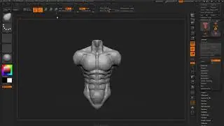 Let's sculpt a Male torso in zbrush...