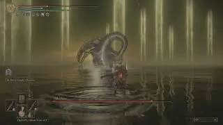 Dual wield vs Elden Beast, not bad