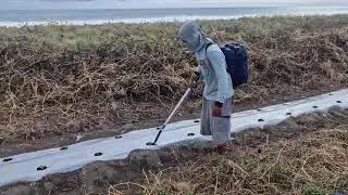 SMART FARMERS FERTILIZE WATERMELON SEEDLINGS USING A CREATIVE SIMPLE TOOL - Agriculture Farming