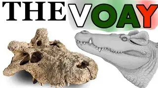 The Terrifying Voay Of Madagascar