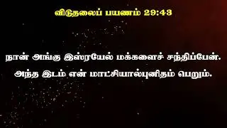 பைபிள் வாசிக்கலாம் வாங்க | விடுதலைப்பயணம் 29 & 30 #catholicbibletamil   #bible2026 #exodus