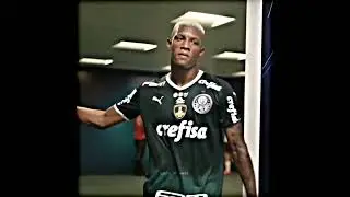 Danilo Melhor volante do Brasil... #palmeiras #edit #danilo #fyp