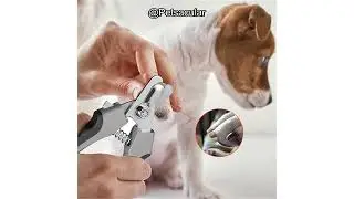 Tpotato Dog Nail Clippers Review: Are They Worth It for Safe & Easy Grooming?