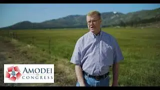 Mark Amodei: Border Security
