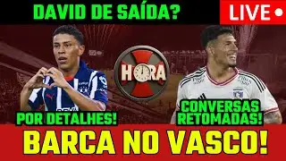 VASCO MUITO PRÓXIMO DE ROJAS! NEGOCIAÇÕES COM SALÍVIA RETOMADAS! DAVID DE SAÍDA E BARCA NO VASCO!