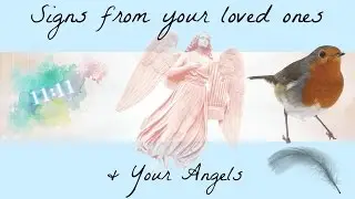 Signs From Heaven | 11:11 | Signs From Your Loved Ones | Angel Signs