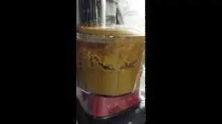Oster Versa 1100 blender FOOD PROCESSOR first use