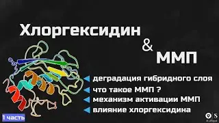 Хлоргексидин и ММП (1 часть)