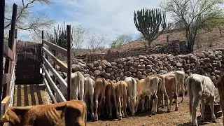 a week in our pueblo 2025￼!!!