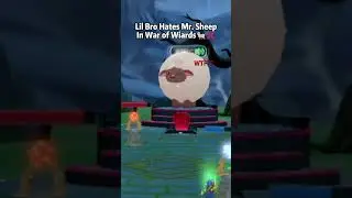 Lil Bro ненавидит мистера Овца в War of Wizards VR