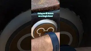 Disney World Apple Watch Hack ⌚️ #disneyworld