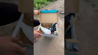 Shok Kabutarbazi ka 🥰 #youtubeshorts #shorts #trend #virul
