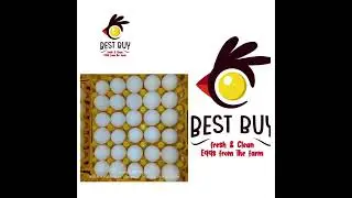 BEST' BUY EGGS #bangaloreeggmarket #wholesale #freshegg #bestbuyeggs#eggsupplierbangalore#NO CHEMIC
