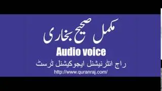 Sahih Bukhari Hadees No 5460