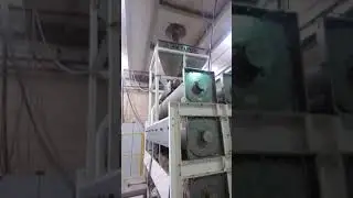 Sesame Peeler/Huller Dry Type Installation Runs Started