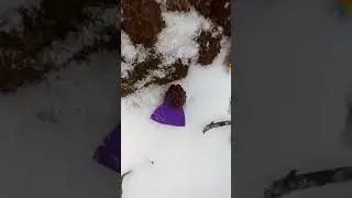 Hola soy serenity estoy con mis Legos ❄️🌨️💓💖 #nieve #snow
