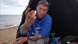 Inova Bait Binder Demo