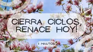 🌸 Meditaci&oacute;n Guiada para Cerrar Ciclos y Abrir Nuevos Comienzos | Lib&eacute;rate y Renace✨🧘&zwj;♀️OKINI🌀