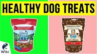 10 Best Healthy Dog Treats 2020