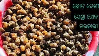ଛୋଟ ଦେଶୀ ଗେଣ୍ଡା ଝୋଳ ତରକାରୀ | Desi Genda Jhola torkari | chhota desi genda jhola torkari odia recipe