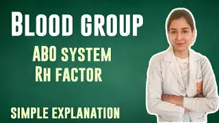 Blood groups | ABO System | Rh factor | simple explanation | In Hindi | innovation classes