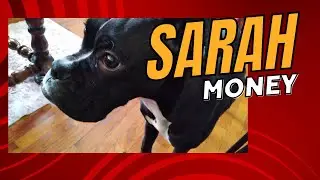 Sarah Money