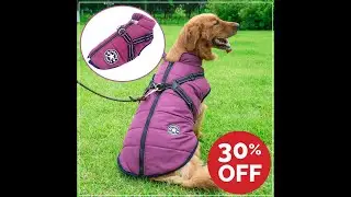 Pet Dog Jacket Winter Dog Coat With Harness