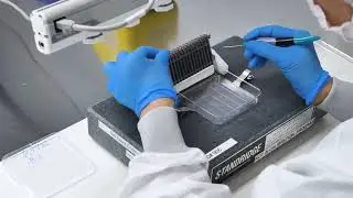 Trelleborg Healthcare & Medical &mdash; Device Assembly Capabilities