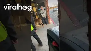 Любопытный олень зашёл в продуктовый магазин || ViralHog