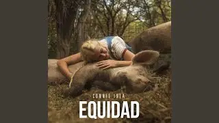Equidad