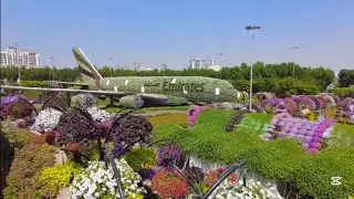 World&rsquo;s Most Beautiful Flower Garden Is in Dubai! 🌸😱 | Dubai Miracle Garden