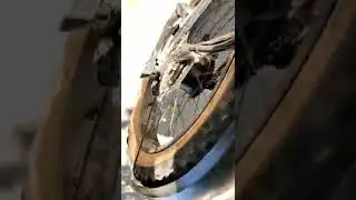 Sound of loose motor magnets.