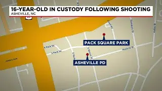 Teen arrested after shooting at Juneteenth Celebration in Asheville, second day of festival cance...