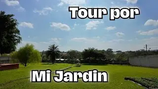 Tour por mi Jardín Enero 2026