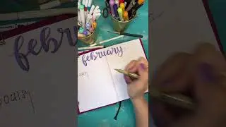 New Plan with me video #planwithme #februaryspread