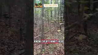 Food plots activated. #forestrymulching