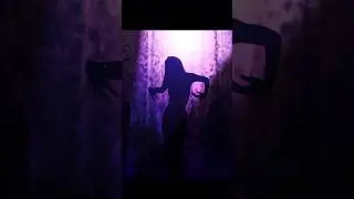 YANIS VOGUE- TRIXAL