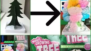 Magic Growing Tree Выращиваем Кристаллы На Ёлке за 12 Часов Домашние эксперименты Education toy.