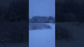 Зима в сердце ❣️ #relaxing #snow #снег #лес #релакс #деревня