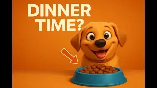 Do Dogs Know What Time It Is?