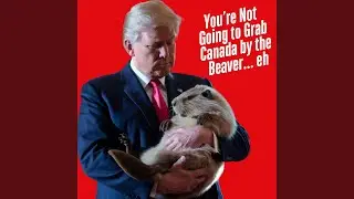 You're Not Going to Grab Canada by the Beaver.. Eh