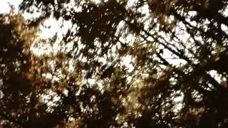 Maha Mantra1