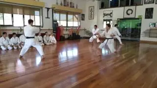 Martial Arts demo from Defense Arts Center black belts