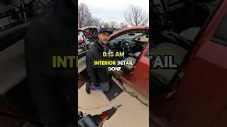 POV: 8 Hours vs. a Fur-Filled Interior | Plainfield, IL #detailing #cardetailing #asmr #satisfying