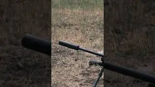 Q Speakeasy and CAT JL on 308