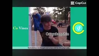 Rec room/vrchat/youtubers as vines