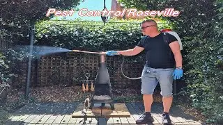 Pest Control Roseville - Micropest Pest Control Sydney