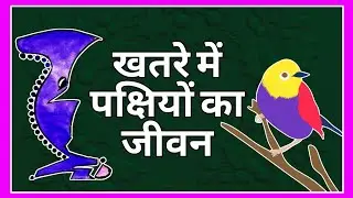 SAVE 🐦 BIRDS 🐦 😌 #AnjanMaibhi 🌐🌄