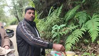 Company garden in mussoorie 