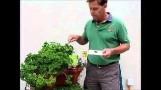 Testing Soil pH